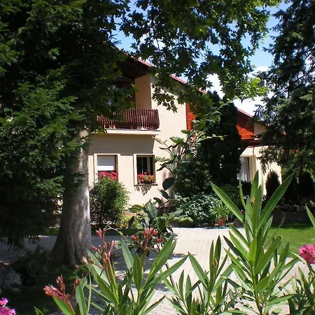 Vakantiehuis Aba Wellness House